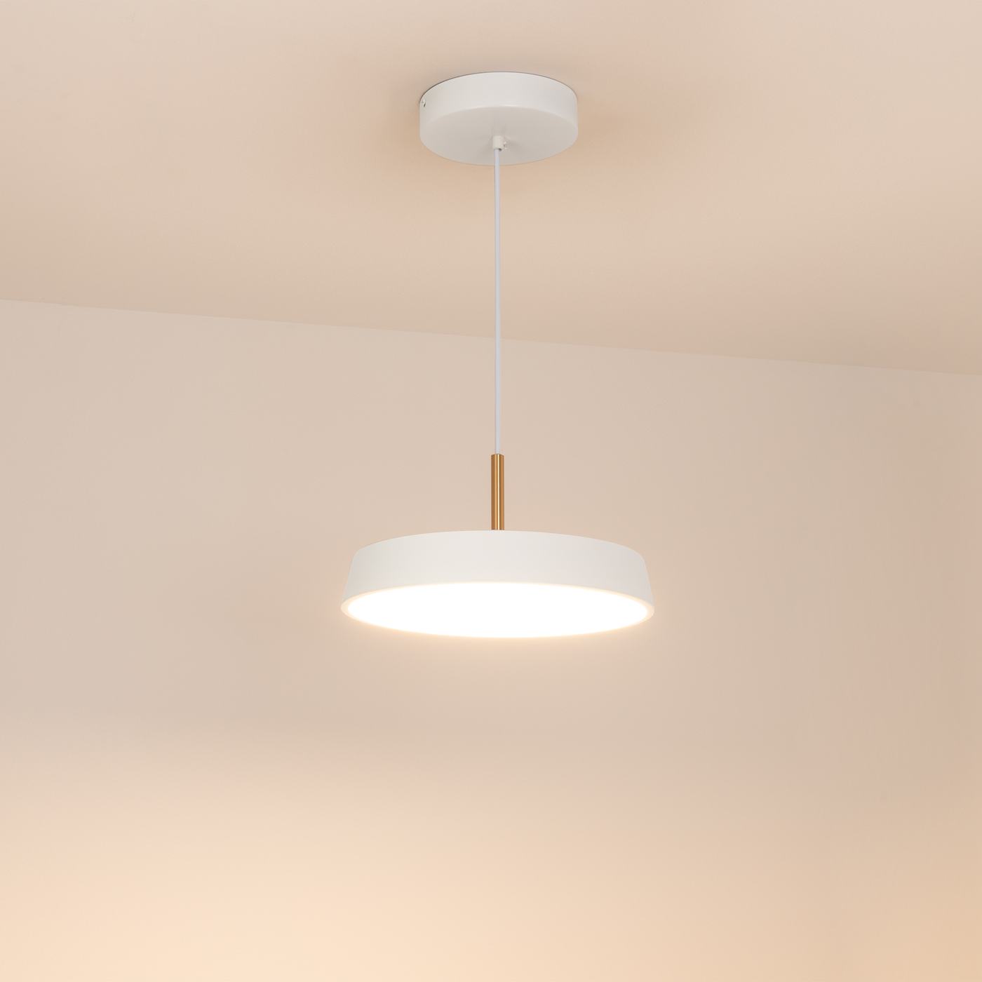 Подвесной светильник Arlight SP-ELEGANT-R300
